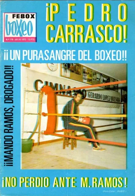 Revista Feboxeo