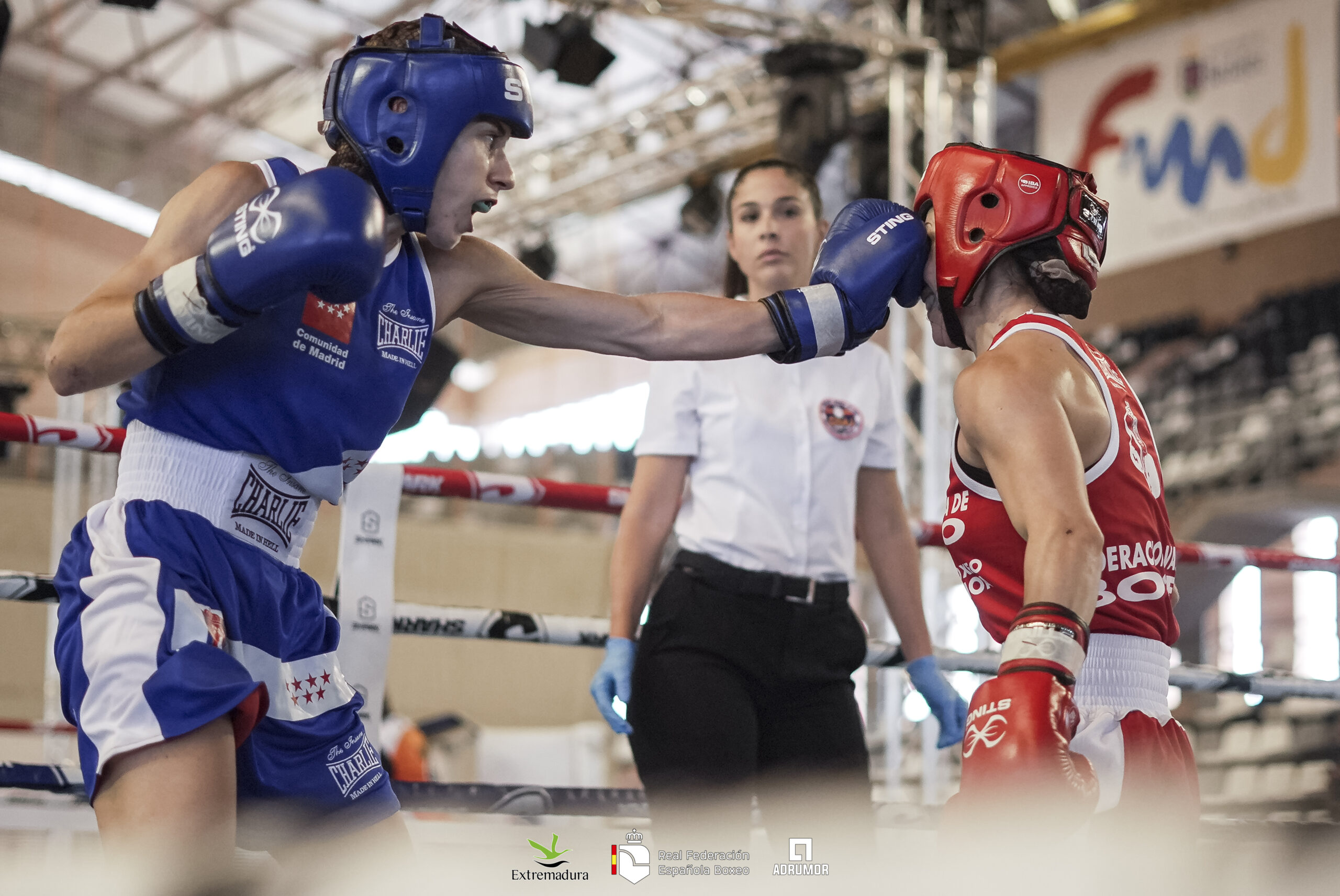 LOS CAMPEONATOS DE ESPAÑA DE BOXEO OLÍMPICO YA CONOCEN A BUENA PARTE DE SUS FINALISTAS